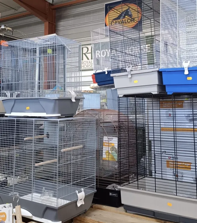 Cage à lapin à pollestres, Pollestres, Cash Graines
